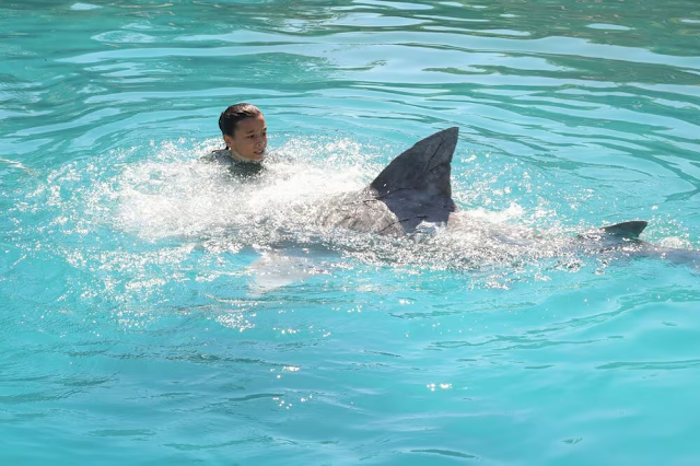 Denti da squalo, coming of age all’italiana scialbo e derivativo [Recensione]