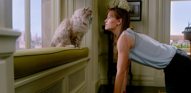 Una vita da gatto – La recensione