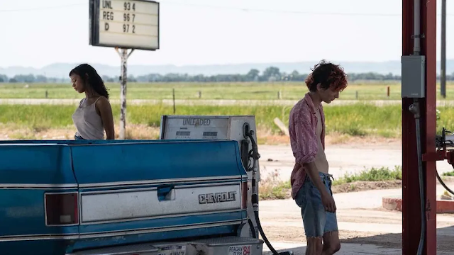 Venezia 79, quali sono i film in odore di Oscar che potrebbero sbarcare?