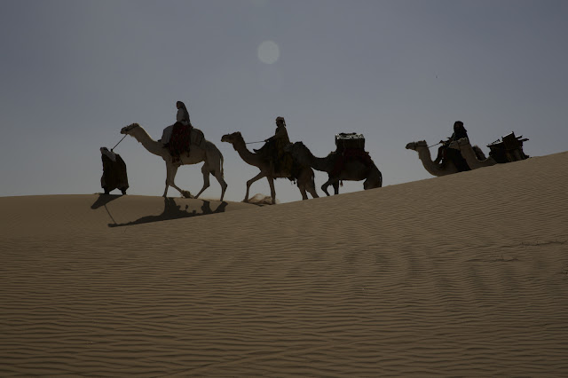 Lost in Translation: Queen of the Desert di Werner Herzog
