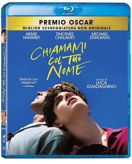 Home Video: in arrivo questa settimana ‘Chiamami col tuo nome’ e il cofanetto ‘Ocean’s Trilogy’