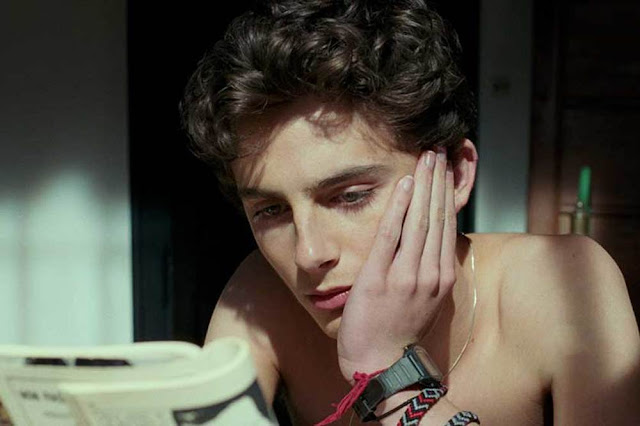 A Star Is Born: Chi è Timothée Chalamet, l’acclamato protagonista di ‘Chiamami col tuo nome’