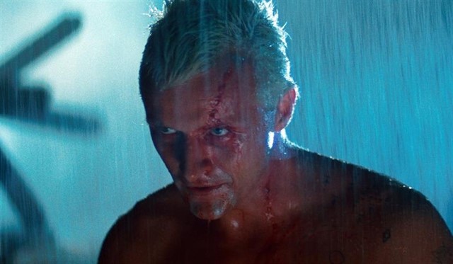 Addio a Rutger Hauer: l’attore di ‘Blade Runner’ e ‘Ladyhawke’ aveva 75 anni