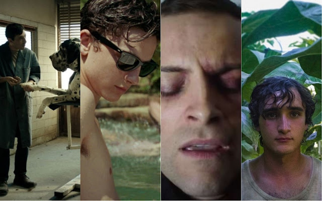 David di Donatello 2019, ecco chi potrebbe vincere l’ambita statuetta del cinema italiano