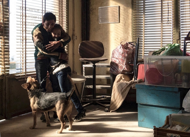 ‘Dogman’, Magnolia Pictures acquista i diritti Usa per il film di Matteo Garrone