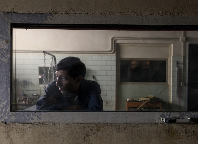 European Film Awards, ‘Dogman’ con due premi ai riconoscimenti tecnici europei