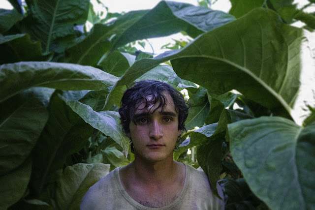 European Film Awards, ‘Lazzaro felice’ è il miglior film secondo gli universitari dell’Unione Europea
