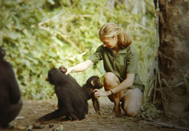 I Producers Guild Awards nominano i migliori documentari dell’anno