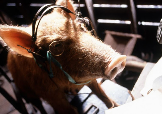 ‘La fattoria degli animali’: Netflix produrrà l’adattamento del romanzo di George Orwell