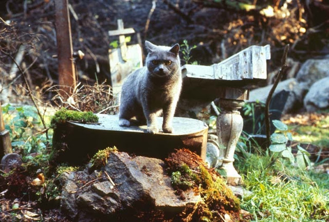La Paramount produrrà il remake di ‘Pet Sematary’, tratto dal romanzo di King