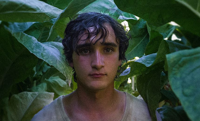 ‘Lazzaro felice’, ‘Dogman’ e ‘Sulla mia pelle’ tra gli 80 titoli in corsa per il miglior film straniero ai Golden Globe