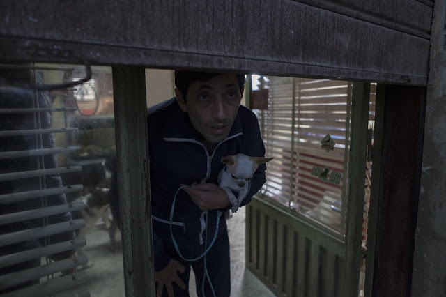 Oscar 2019, fuori ‘Dogman’ dalla shortlist del film straniero