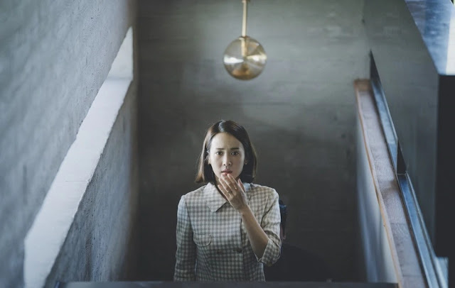 Oscar 2020: ecco perché ‘Parasite’ di Bong Joon-ho potrebbe seguire la stessa rotta di ‘Roma’ di Cuaròn