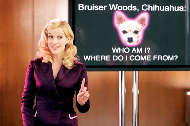 Reese Witherspoon è in trattative per tornare in ‘Legally Blonde 3’