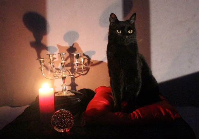 ‘Sabrina the Teenage Witch’: Salem si mostra nella prima immagine della serie reboot di Netflix